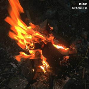 欧美⭕⭕⭕⭕XXXX物交
